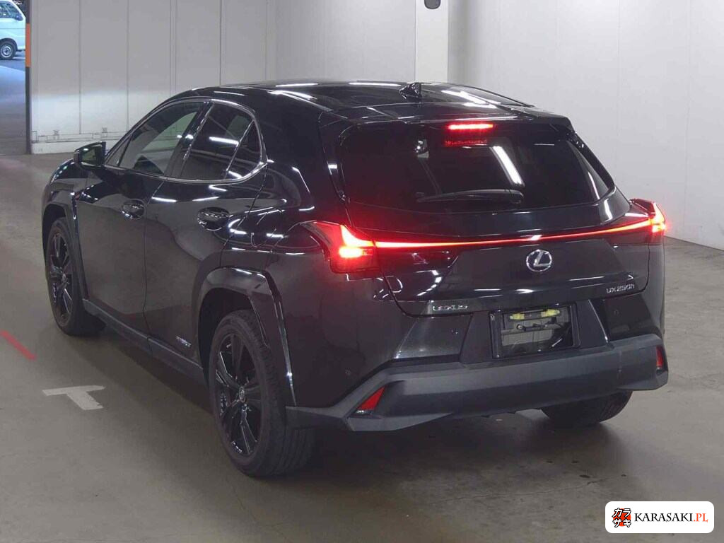 2021 Lexus Ux UX250H Elegant Black 2