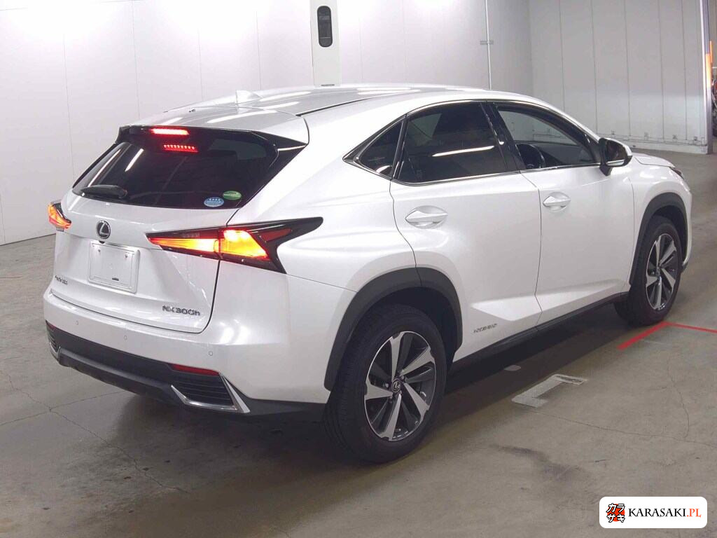 Lexus NX 2019 z aukcji japońskiej