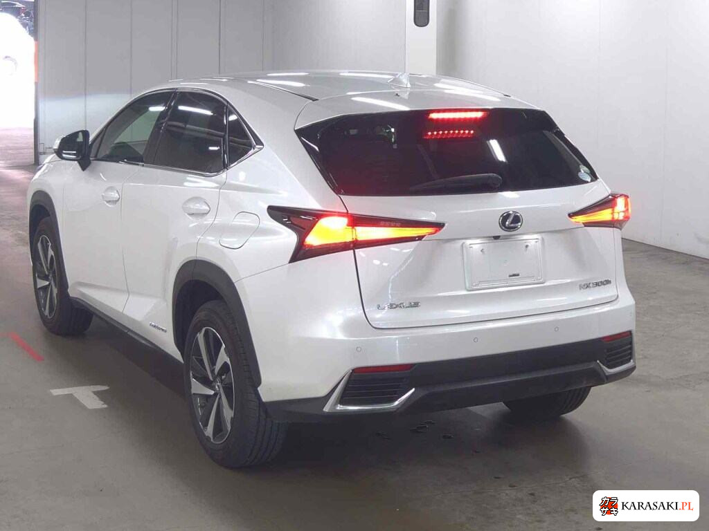 Lexus NX 2019 z aukcji japońskiej