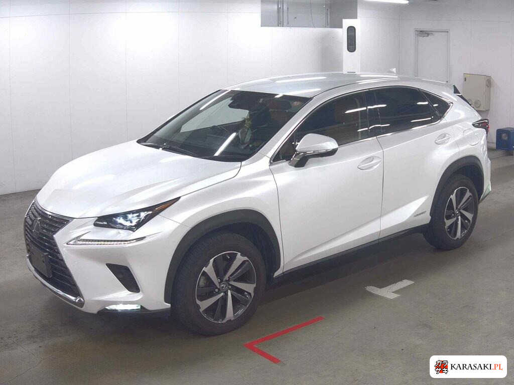 Lexus NX 2019 z aukcji japońskiej