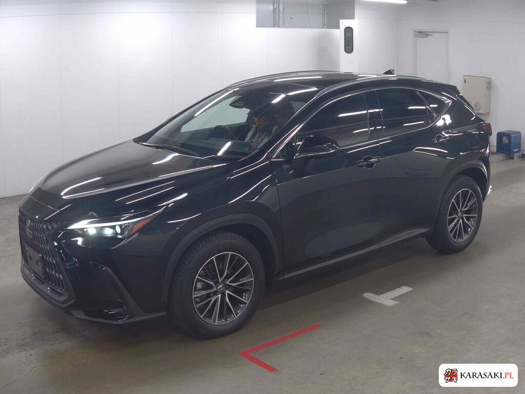 Lexus NX 2023 z aukcji japońskiej