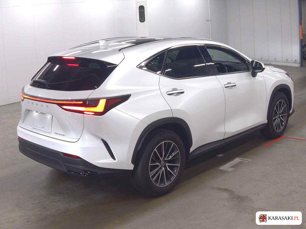 Lexus NX 2025 z aukcji japońskiej