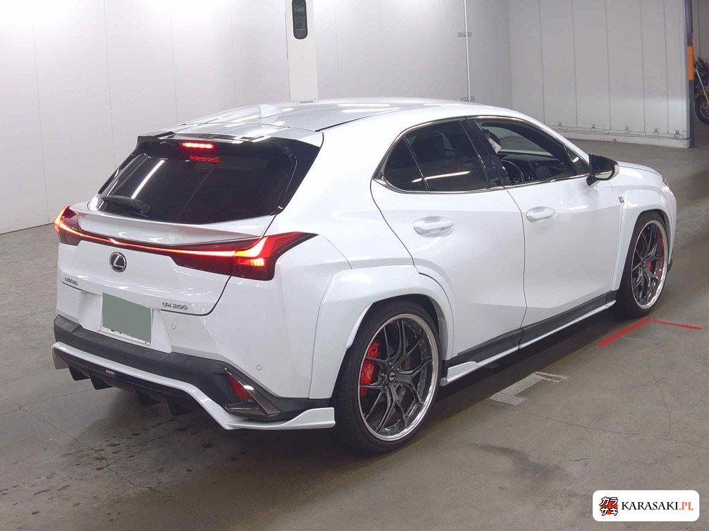 Lexus Ux 2019 z aukcji japońskiej