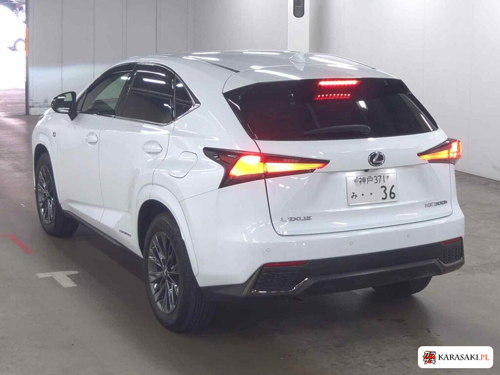 Lexus NX 2020 z aukcji japońskiej