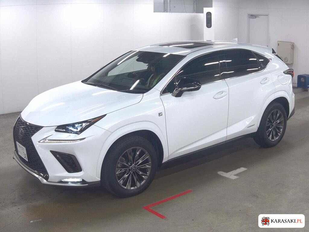 Lexus NX 2020 z aukcji japońskiej
