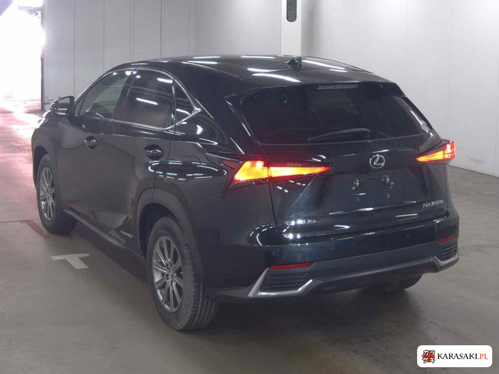 Lexus NX 2019 z aukcji japońskiej