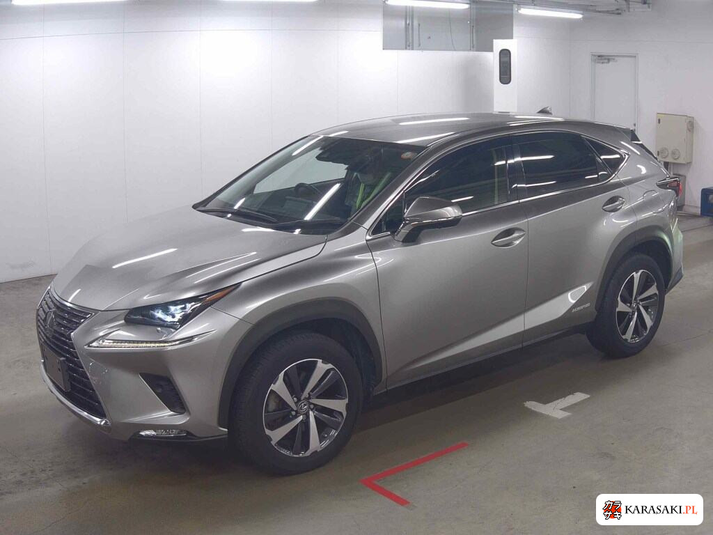 Lexus NX 2019 z aukcji japońskiej