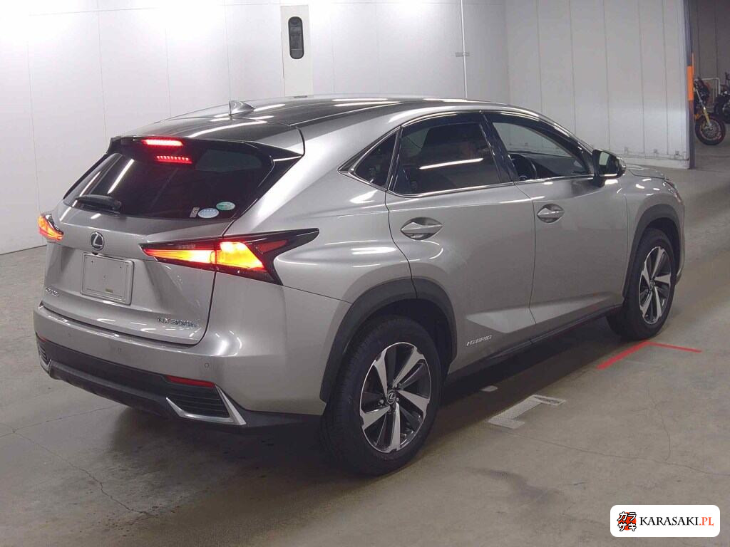 Lexus NX 2019 z aukcji japońskiej