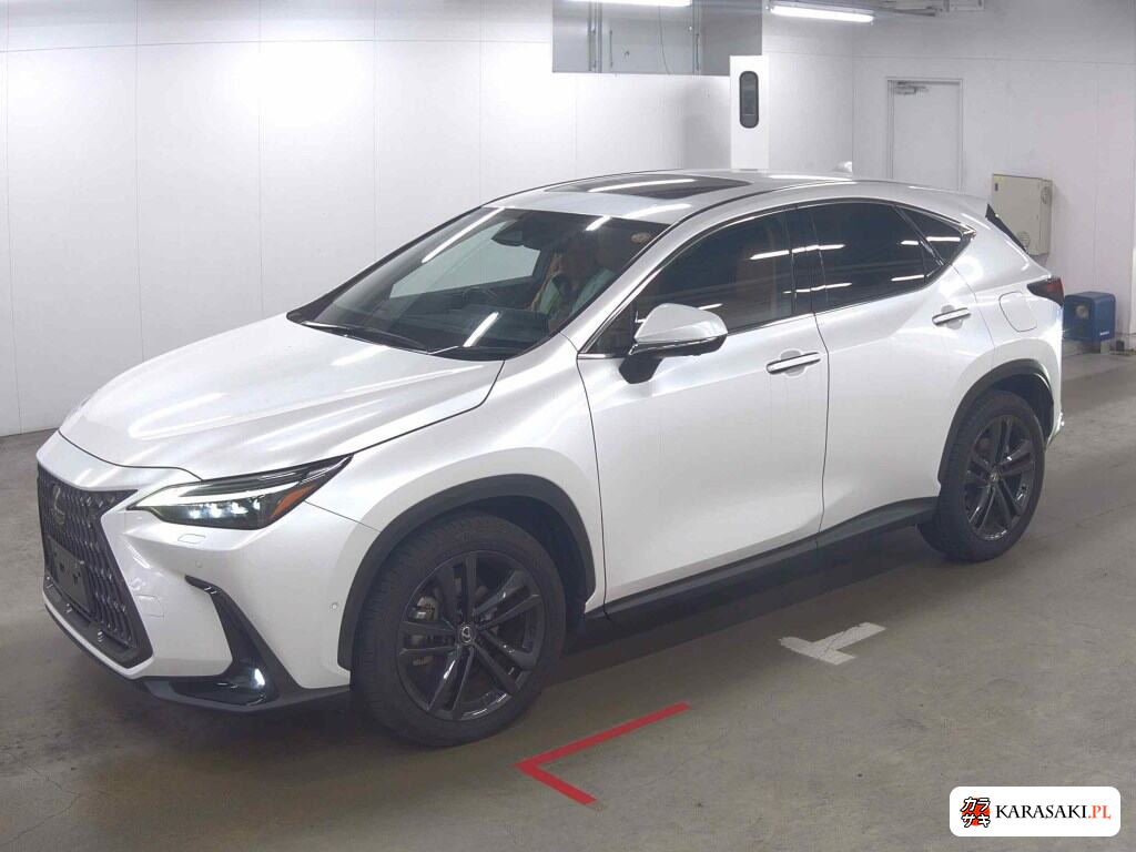 Lexus NX 2023 z aukcji japońskiej