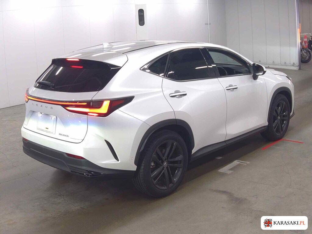 Lexus NX 2023 z aukcji japońskiej