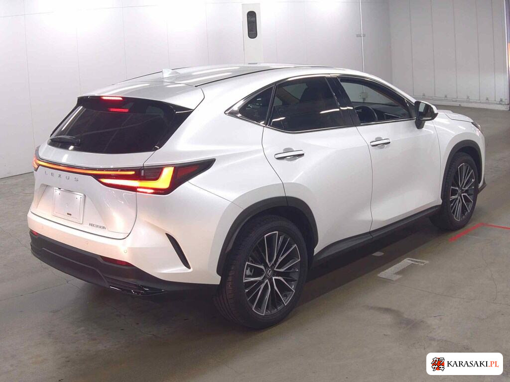 Lexus NX 2025 z aukcji japońskiej