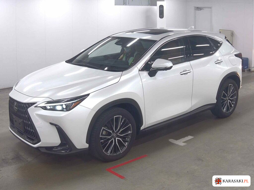 Lexus NX 2025 z aukcji japońskiej