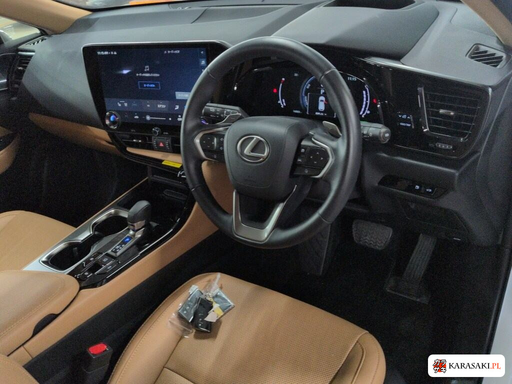 Lexus NX 2025 z aukcji japońskiej