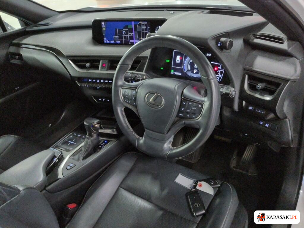 Lexus Ux 2020 z aukcji japońskiej
