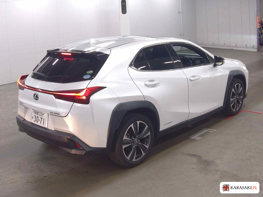 Lexus Ux 2020 z aukcji japońskiej