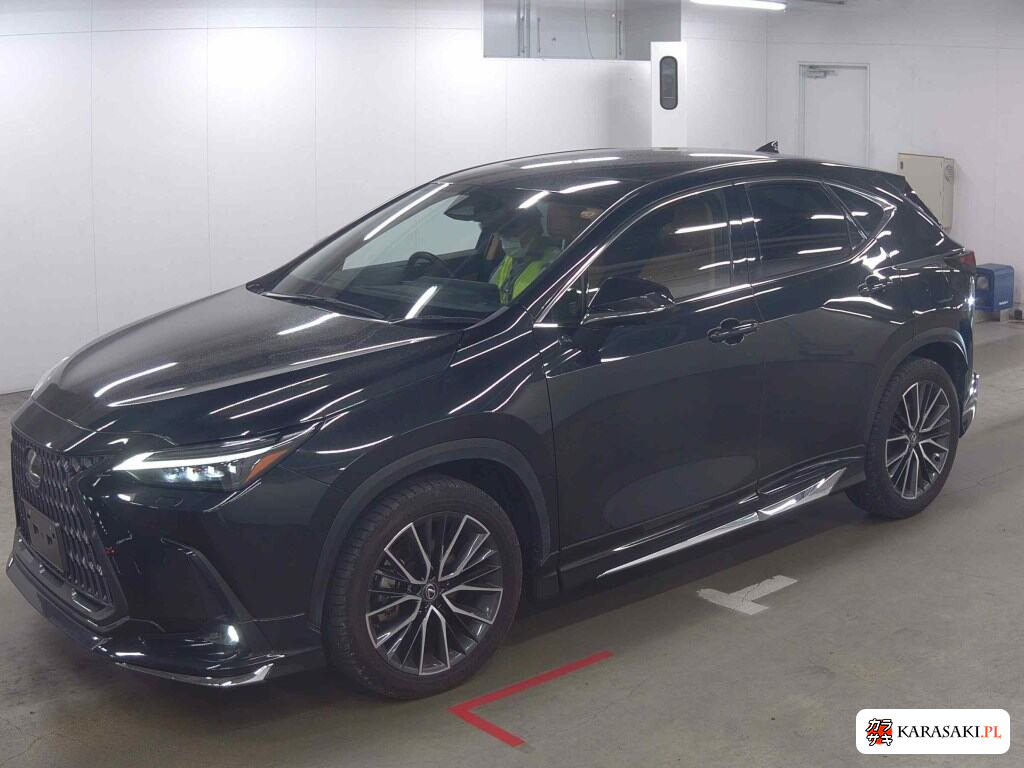 Lexus NX 2023 z aukcji japońskiej