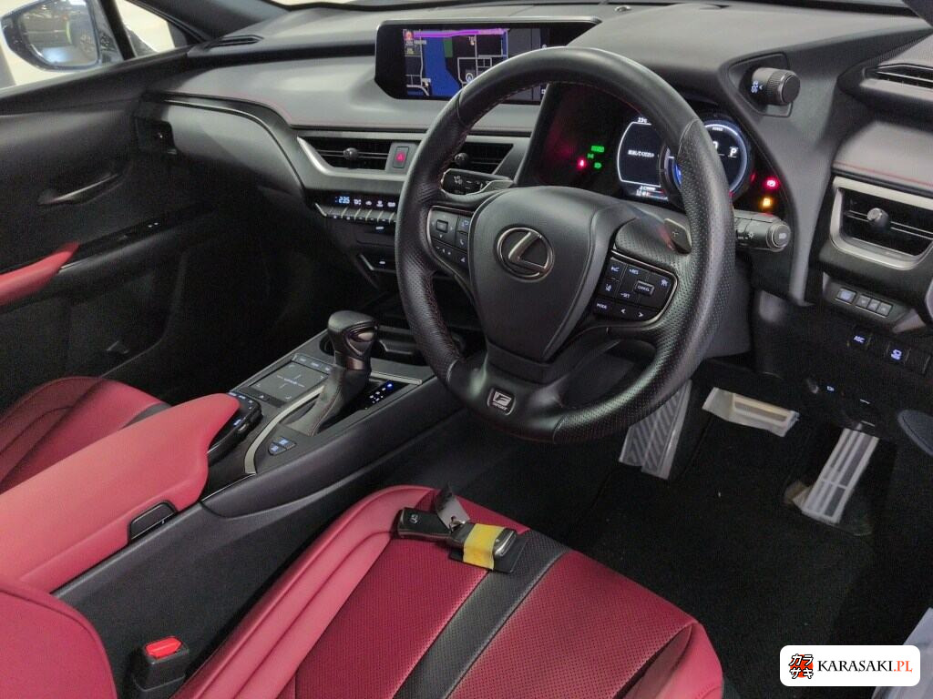 2021 Lexus Ux UX250H F Sport 5