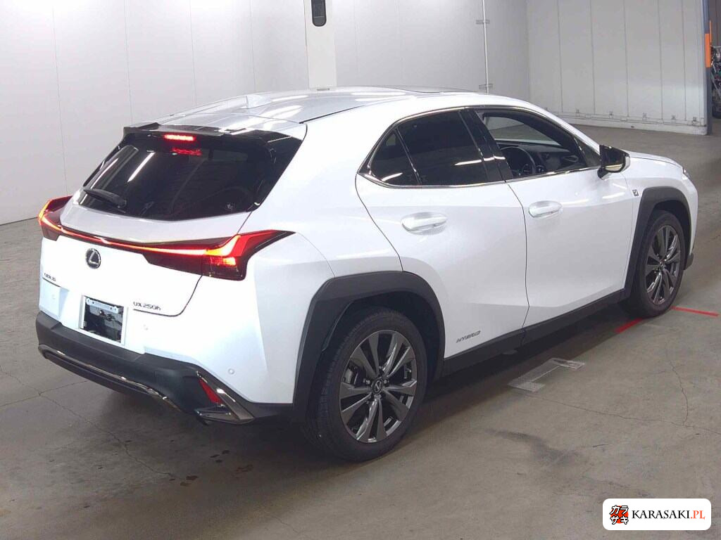 2021 Lexus Ux UX250H F Sport 4