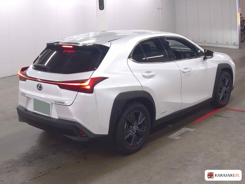 Lexus Ux 2022 z aukcji japońskiej