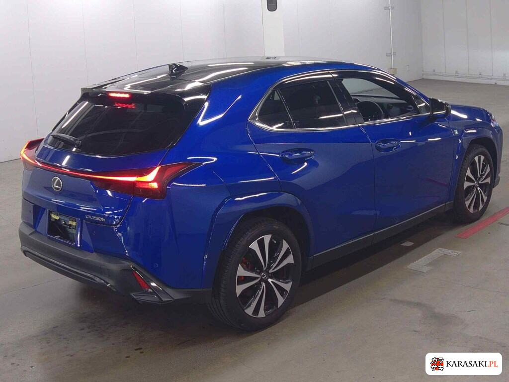Lexus Ux 2023 z aukcji japońskiej