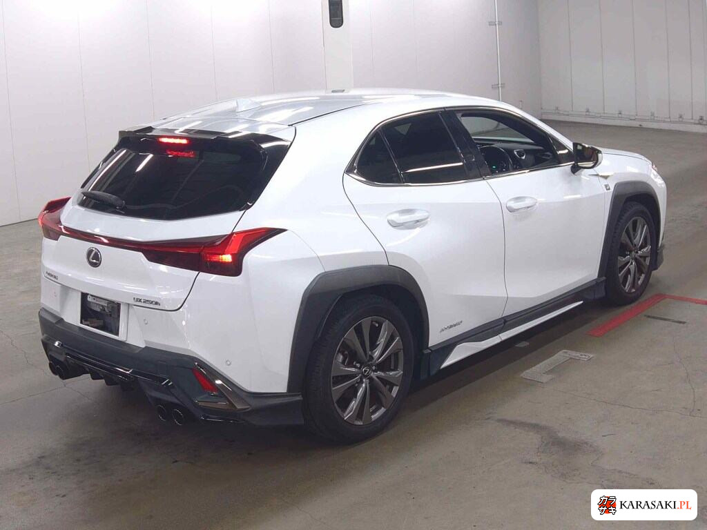 Lexus Ux 2019 z aukcji japońskiej