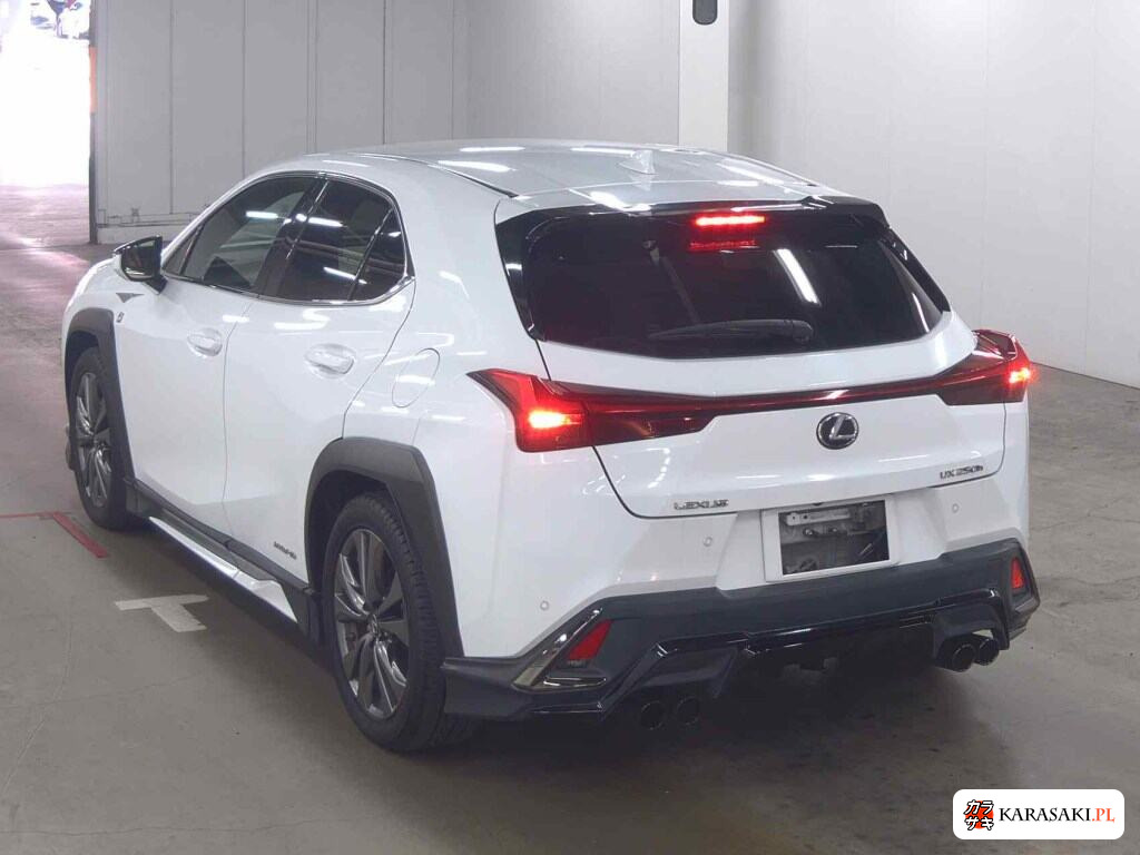 Lexus Ux 2019 z aukcji japońskiej