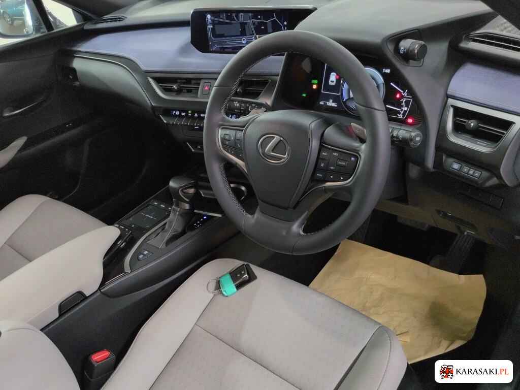 Lexus Ux 2021 z aukcji japońskiej