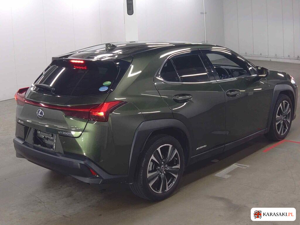Lexus Ux 2019 z aukcji japońskiej