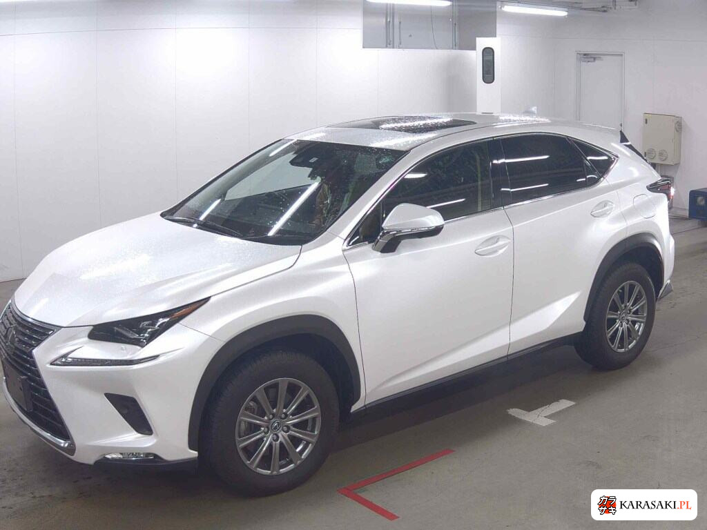 Lexus NX 2019 z aukcji japońskiej