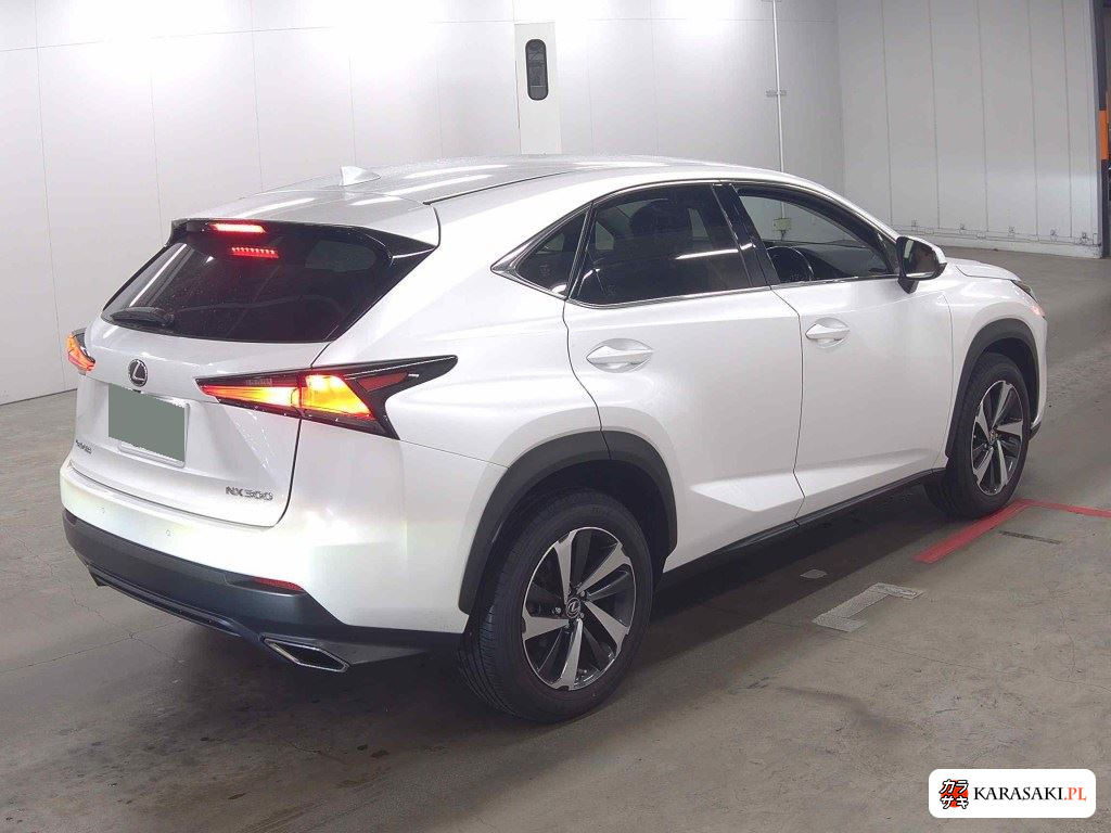 Lexus NX 2020 z aukcji japońskiej