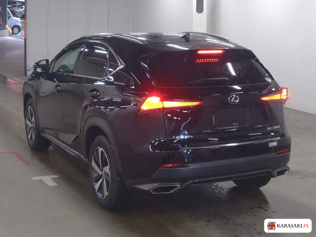 Lexus NX 2019 z aukcji japońskiej