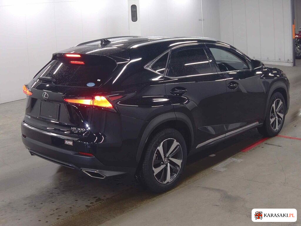 Lexus NX 2019 z aukcji japońskiej
