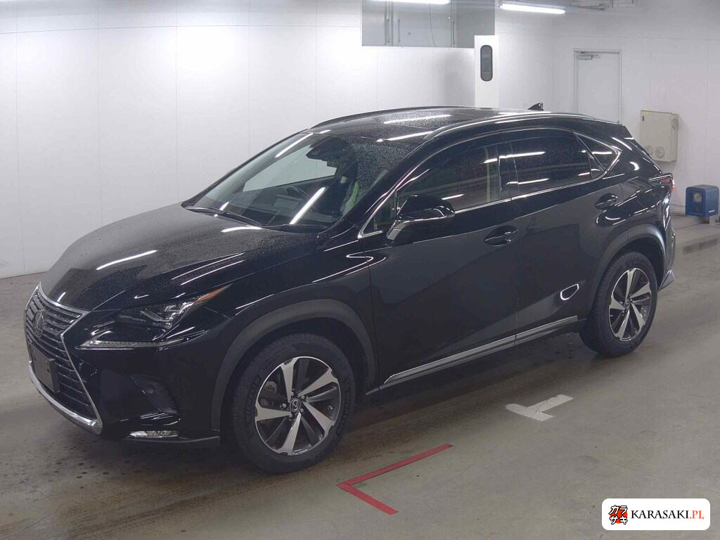 Lexus NX 2019 z aukcji japońskiej