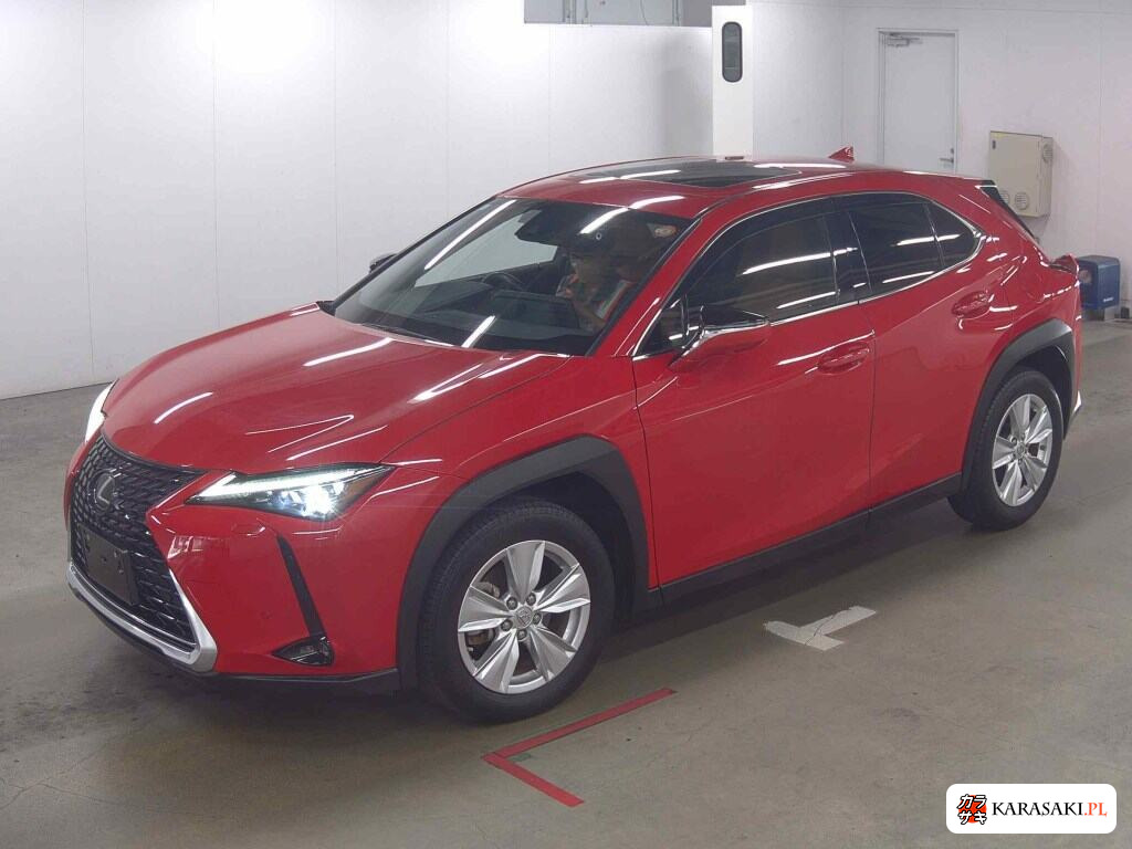 2023 Lexus Ux UX250H Version C 3