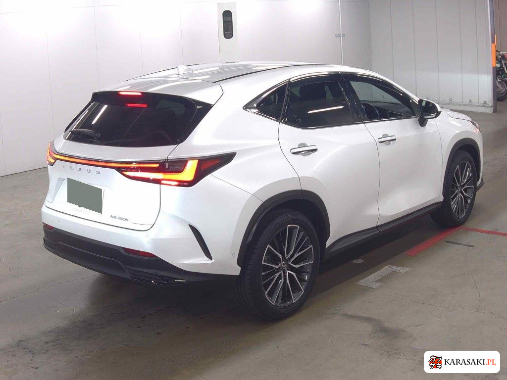 Lexus NX 2023 z aukcji japońskiej