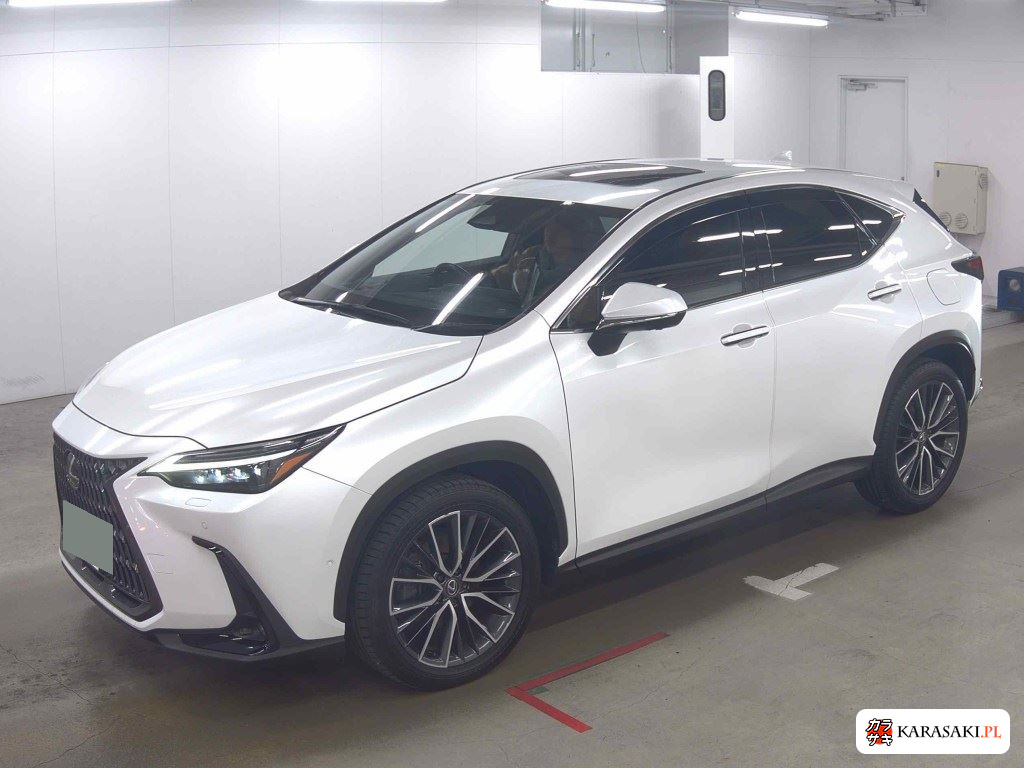 Lexus NX 2023 z aukcji japońskiej