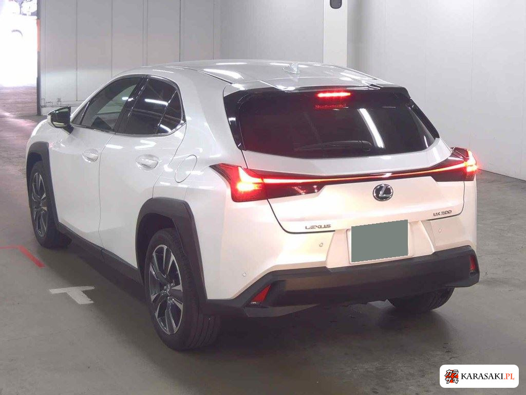 Lexus Ux 2022 z aukcji japońskiej