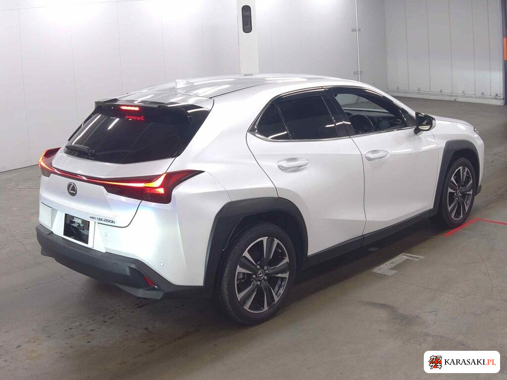 Lexus Ux 2023 z aukcji japońskiej