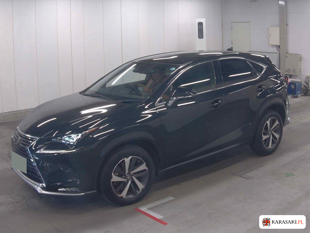 2021 Lexus NX NX300 Special Edition Spice And Chic 3