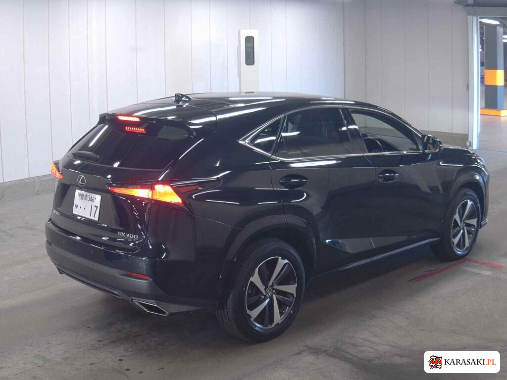 2021 Lexus NX NX300 Special Edition Spice And Chic 4