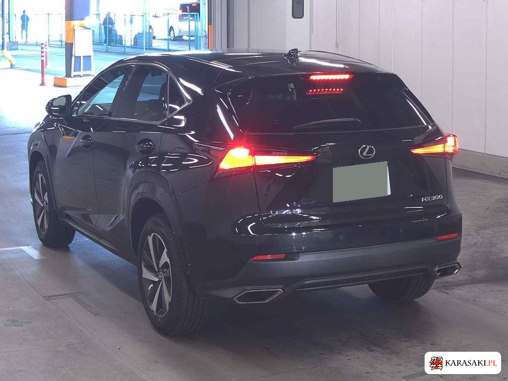 2021 Lexus NX NX300 Special Edition Spice And Chic 2