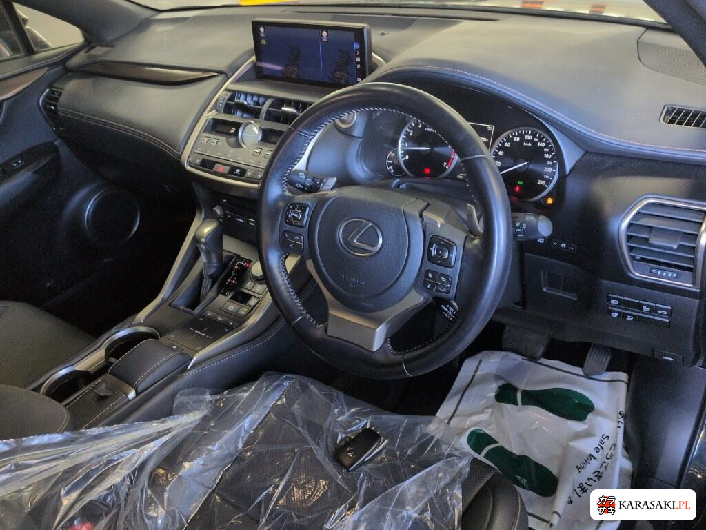 2021 Lexus NX NX300 Special Edition Spice And Chic 5