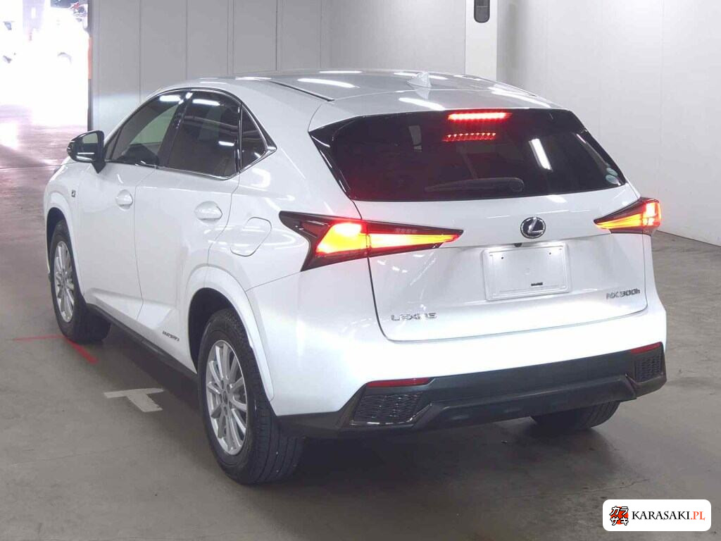 Lexus NX 2020 z aukcji japońskiej