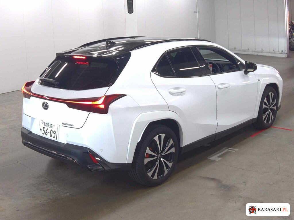 Lexus Ux 2025 z aukcji japońskiej