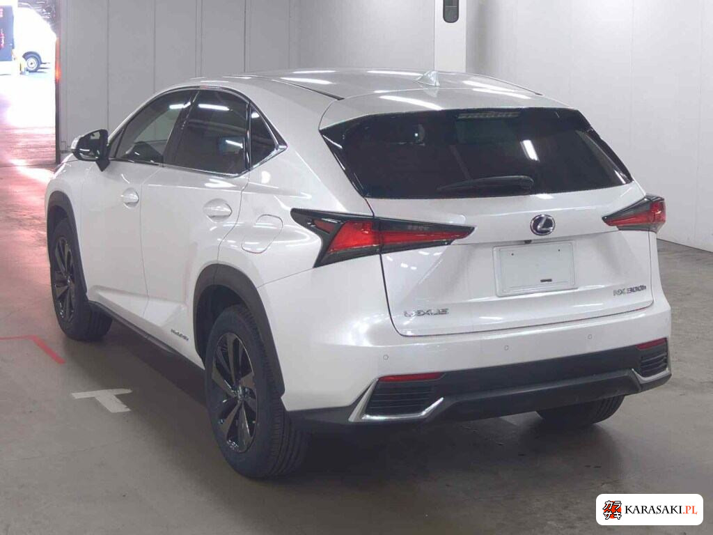 Lexus NX 2019 z aukcji japońskiej