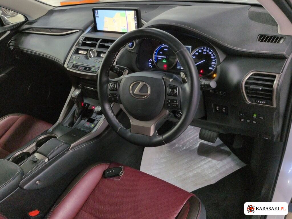 Lexus NX 2019 z aukcji japońskiej