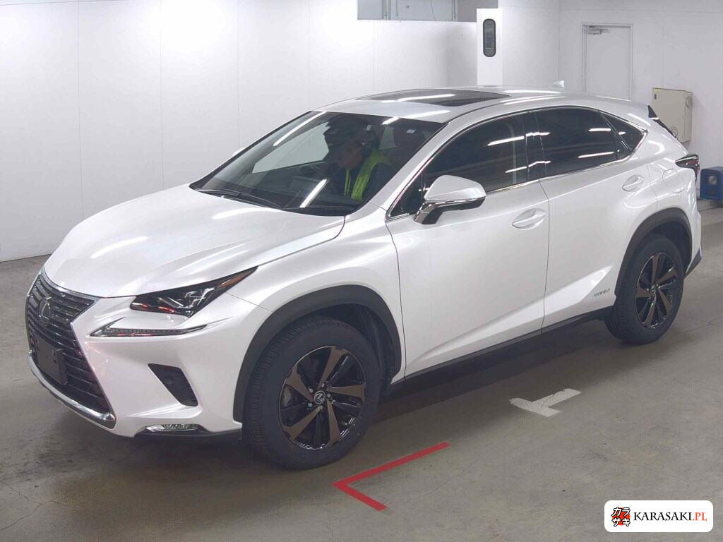 Lexus NX 2019 z aukcji japońskiej