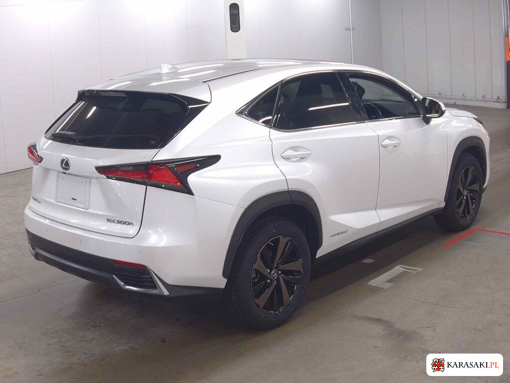Lexus NX 2019 z aukcji japońskiej