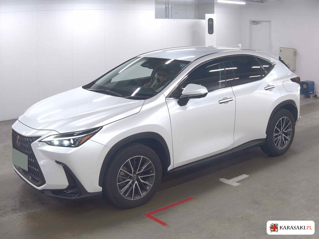 Lexus NX 2023 z aukcji japońskiej
