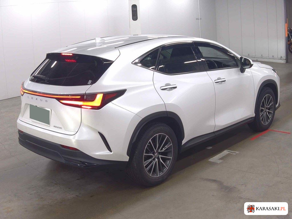 Lexus NX 2023 z aukcji japońskiej